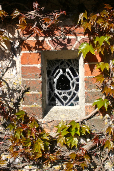 charleston ivy window