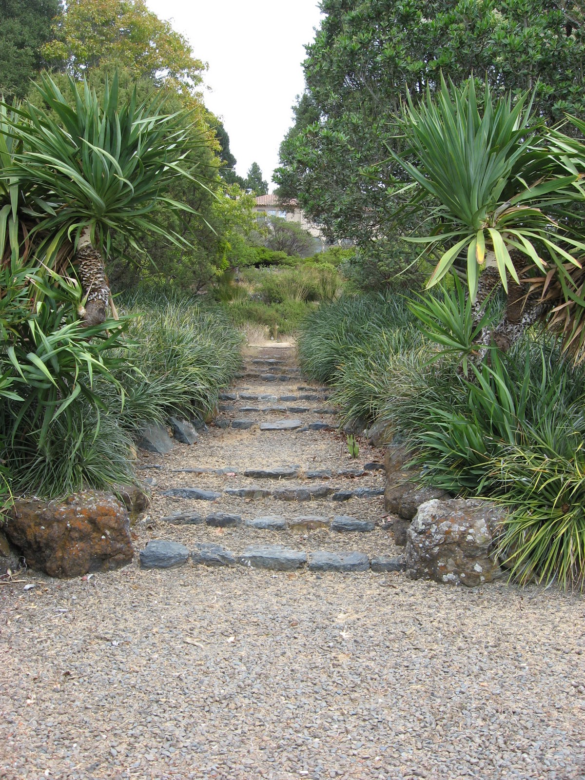 lush gravel step