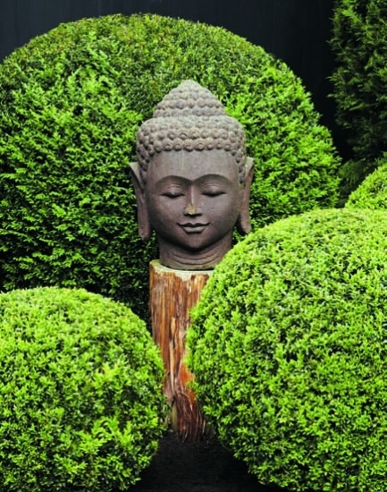 serene garden style buddha