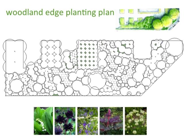 planting design styleseed