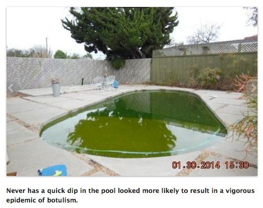 bad estate agent swimming pool gardens