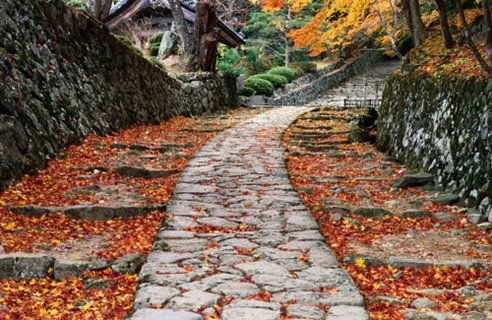 cobbled acer leaf path