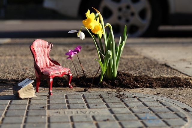 Chelsea Fringe: The Pothole Gardener