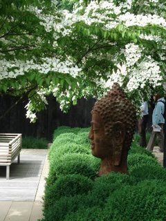 buddha head in greenery