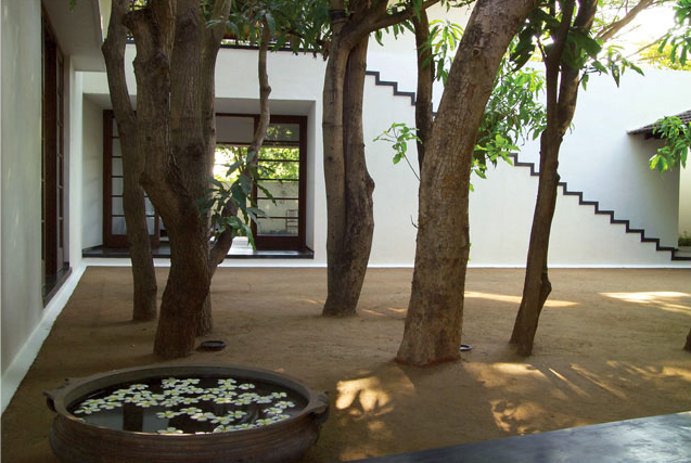 earth & trees courtyard