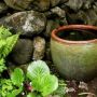water pot in corner thumbnail