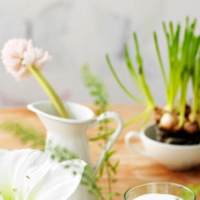 A cheat-treat: bring a little Spring indoors