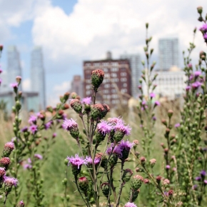 London wants a piece of the Highline life